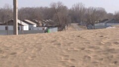 Песчаные барханы засыпают село в Алматинской области