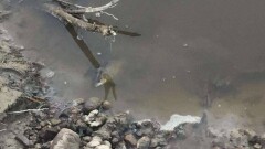 Воду в потемневшей реке Талгар проверяет Казгидромет. Пока установили только то, что она плохо пахнет