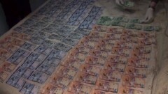 Аудитор Счётного комитета признала вину в получении взяток