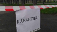 В Алматинской области с 31 марта вводят ограничения. Закроют детсады, рынки и бизнес-центры