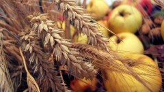 В Казахстан не пропустили 165 тонн продукции из России, Кыргызстана и Узбекистана