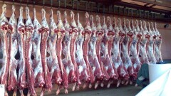 Евниев: Намерение России запретить ввоз животноводческой продукции из РК – недоразумение