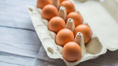 В Казахстане подорожали яйца. Их производство сократилось на 20%