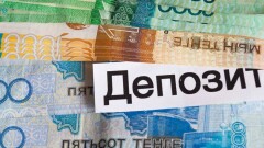 Жительница Алматинской области объявила войну сиротству
