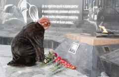 Митинг в память о погибшем в Сирии пилоте Су-24 запретили проводить в Усть-Каменогорске 