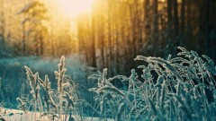 Прогноз погоды на 3 декабря: на севере и западе Казахстана ожидаются сильные морозы, на юге – низовая метель
