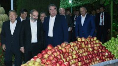 Инсталляции из винограда и арбузов показал главам стран СНГ президент Таджикистана