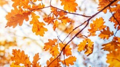 Прогноз на 20 сентября: на большей части территории страны ожидается погода без осадков