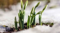 Прогноз погоды на 7 марта: на большей части территории Казахстана будет без осадков