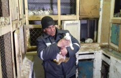 Уральская колония стала бизнес-инкубатором для осуждённых