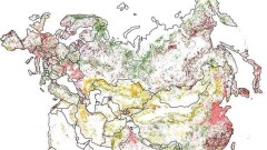 Географы показали на картах, как изменилась поверхность Земли за 25 лет