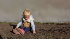 ВОЗ: Почти 2 млрд детей в мире дышат загрязнённым воздухом