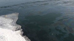 Экологи выясняют причину появления нефтяного пятна в Иртыше в ВКО