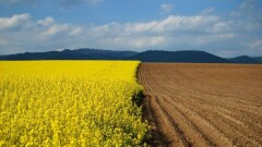 Информсистему для продажи госземель запустили в Жамбылской области