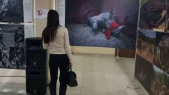 Работы победителей World Press Photo 2018 выставили в Караганде
