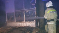 Три тысячи цыплят погибли при пожаре на птицефабрике в Туркестанской области