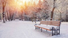 Прогноз погоды на 17 января: лишь на юге Казахстана будет без осадков
