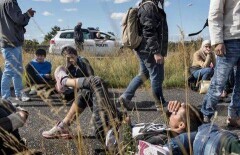 Конфисковывать деньги будут у беженцев в Дании