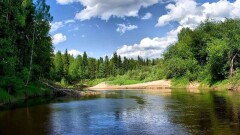 Учёные обнаружили в реках 72 стран опасный уровень антибиотиков