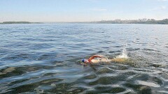 Переплывшего границу Казахстана пенсионера оштрафовали на миллион тенге и выдворили