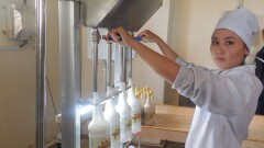 Китайский инвестор запустит производство шубата в Туркестане