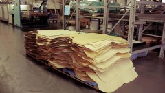 В Казахстане кожевенные заводы приостановили работу из-за теневого экспорта шкур КРС