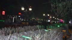 За улицу разбитых фонарей в центре Петропавловска оштрафовали хулигана