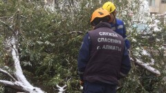 Спасатели ликвидируют последствия снегопада в Алматы