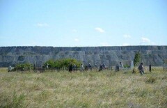 Массовое перезахоронение организуют в Костанайской области