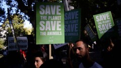 В странах Европы прошли демонстрации в защиту климата Fridays for Future