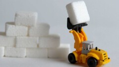 8 млрд тенге направят на возрождение сахарного завода в Алматинской области