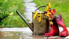 Прогноз погоды на 12 июня: дожди пройдут в восьми областях Казахстана