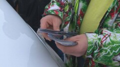 Миллион тенге заплатил алиментщик, остановленный на дорогом авто в Усть-Каменогорске