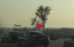 Бесчинства свадебного кортежа возмутили жителей Шымкента
