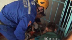 В Шымкенте спасли трёхлетнего малыша, застрявшего головой в решётке 