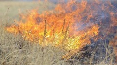 При пожаре в Актюбинской области погибли сельский аким и сотрудник школы 