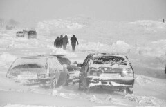 Водители отказываются бросать машины, застрявшие в снегу на трассах ВКО