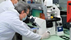 У 71 вахтовика "Тенгизшевройл" выявили коронавирус в Атырауской области. Установлено 1500 контактных