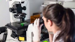 В США начались клинические испытания технологии CRISPR для лечения онкологии