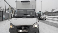 Питбуля за рулём "ГАЗели" заметили жители Костаная