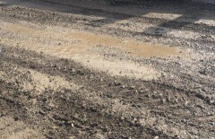 Алматинцы просят Байбека найти управу на коммунальщиков