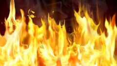 Около 70 человек погибли в результате взрыва на трубопроводе в Мексике