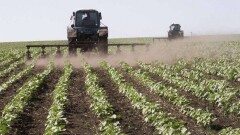 Фермеры оказались в тяжёлой ситуации из-за роста цен на льготное дизтопливо
