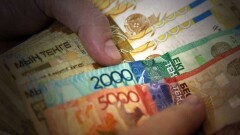 Экс-бухгалтер Алматинского зоопарка признана виновной в хищении 32 млн тенге