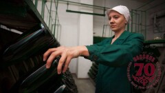 В зале – 9 тысяч бутылок. Ремюер ежедневно переворачивает все 