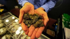 Марихуану вместе с суши предлагали повара кафе в Кокшетау