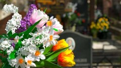 В Алматы задержали работников кладбища, завышающих цену на погребение