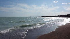 В Алматинской области чистят реки, чтобы спасти Балхаш