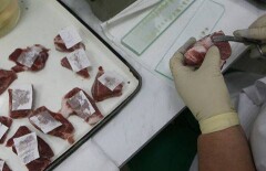 Из-за пастереллёза в Актюбинской области Россия ограничила ввоз казахстанского мяса и скота