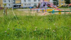 Уволенного из-за нескошенной травы директора школы восстановили в должности в Темиртау